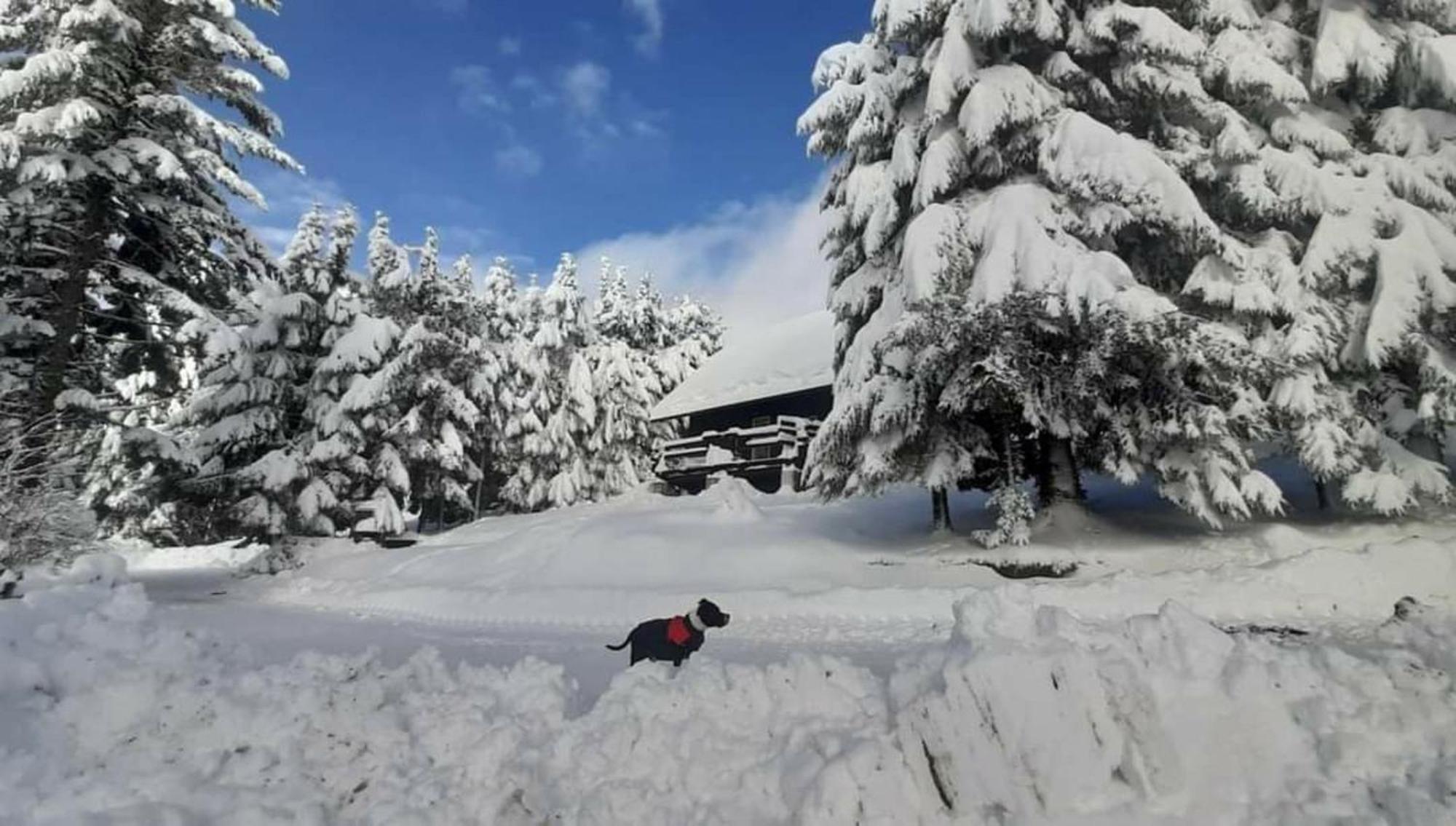 Rogla - Chalet Mojca Pokrajculja Zrece Bagian luar foto