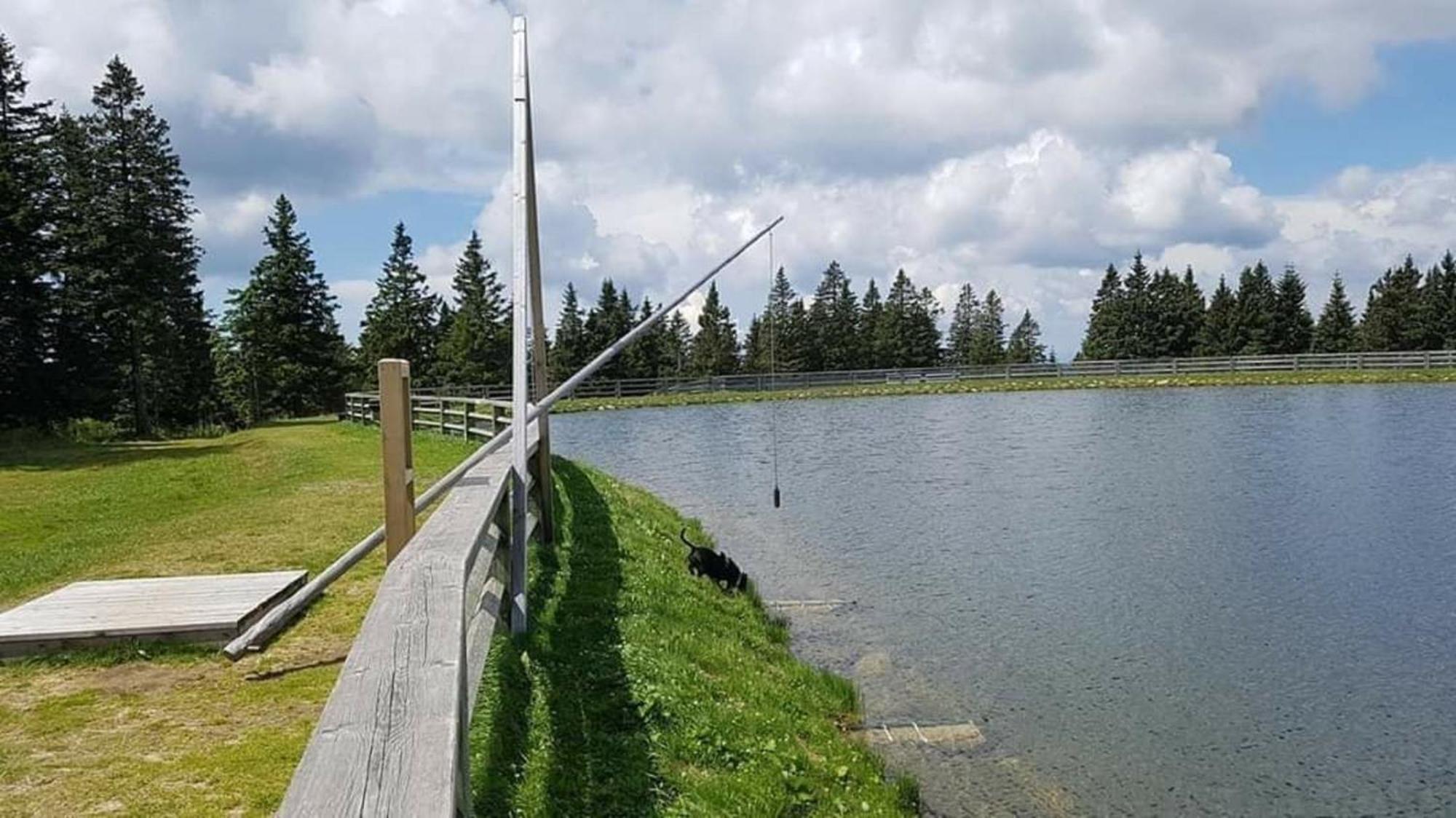 Rogla - Chalet Mojca Pokrajculja Zrece Bagian luar foto