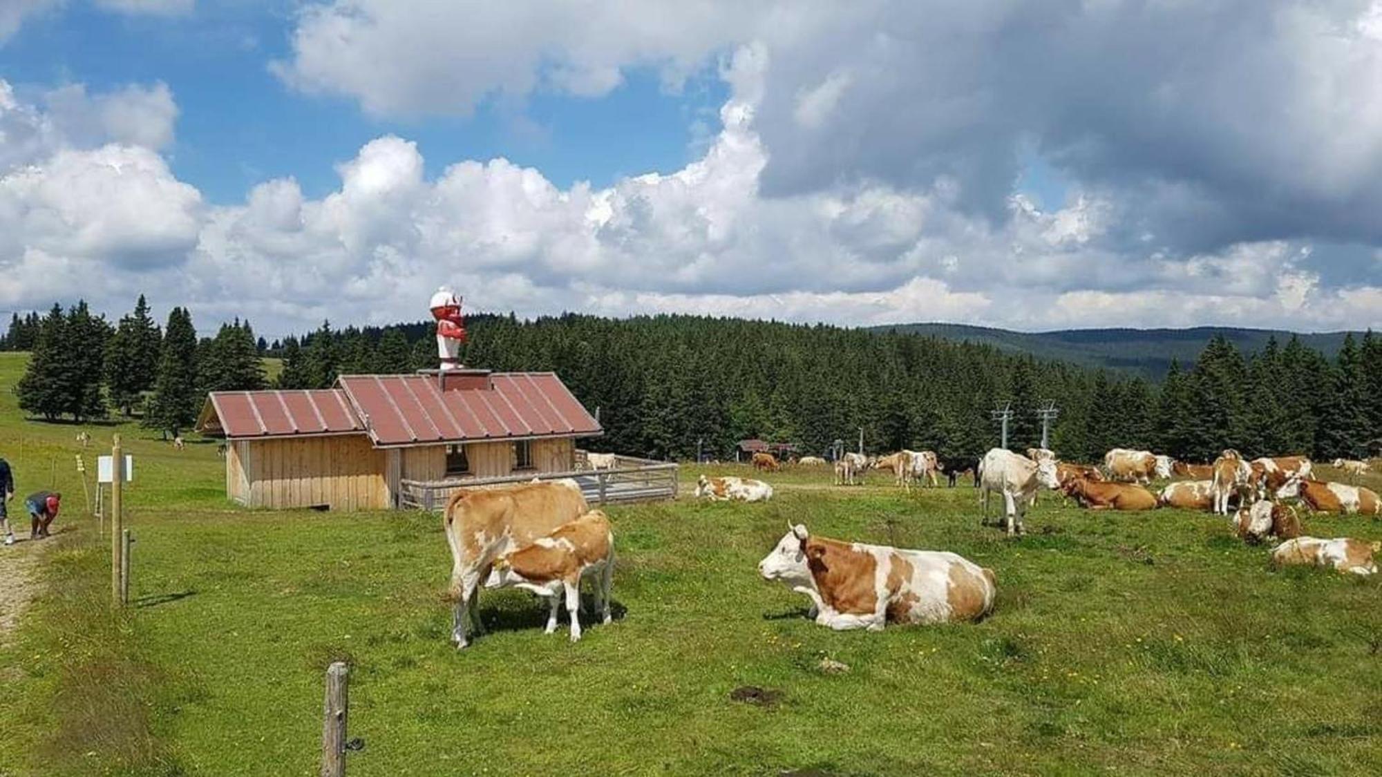 Rogla - Chalet Mojca Pokrajculja Zrece Bagian luar foto