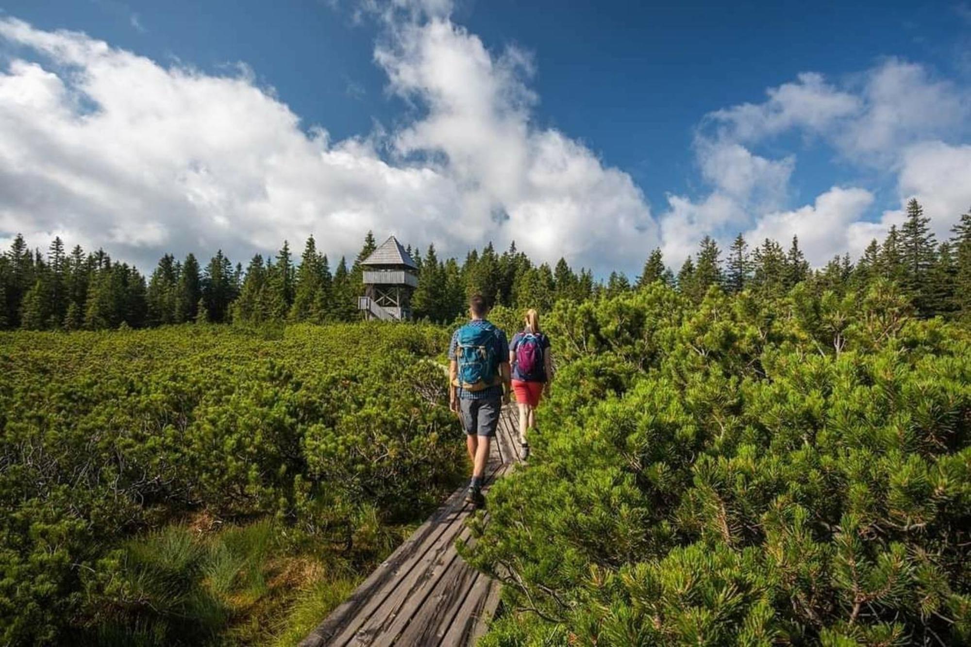 Rogla - Chalet Mojca Pokrajculja Zrece Bagian luar foto