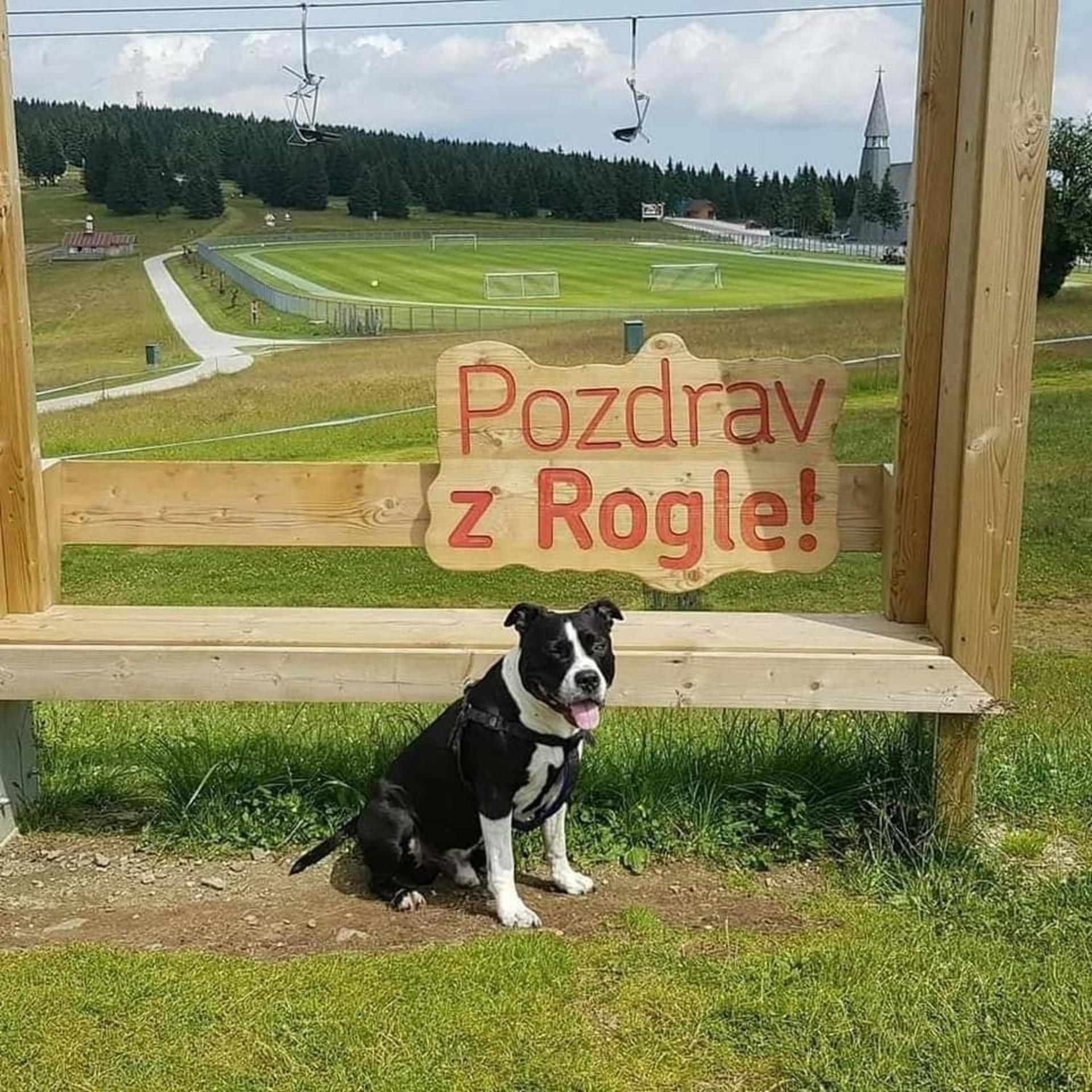 Rogla - Chalet Mojca Pokrajculja Zrece Bagian luar foto