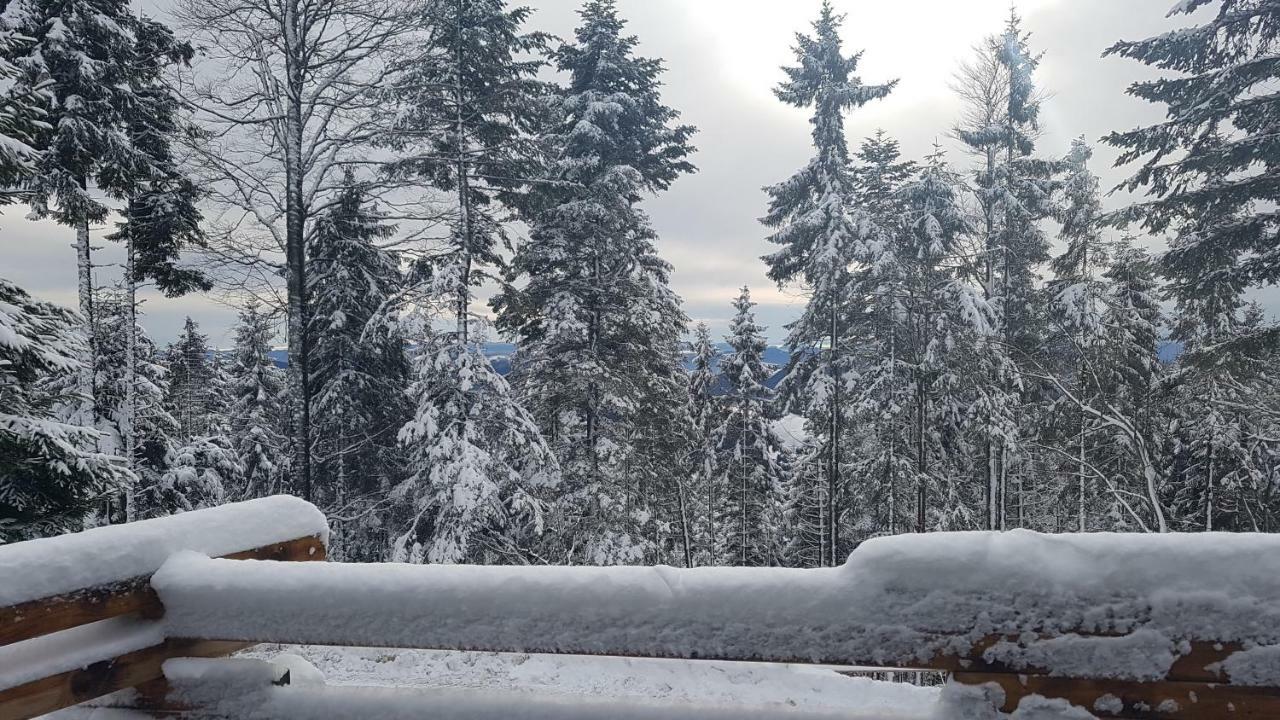 Rogla - Chalet Mojca Pokrajculja Zrece Bagian luar foto