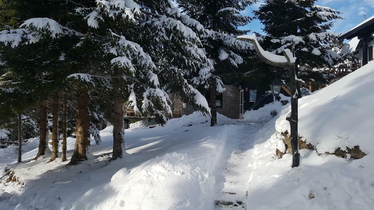 Rogla - Chalet Mojca Pokrajculja Zrece Bagian luar foto