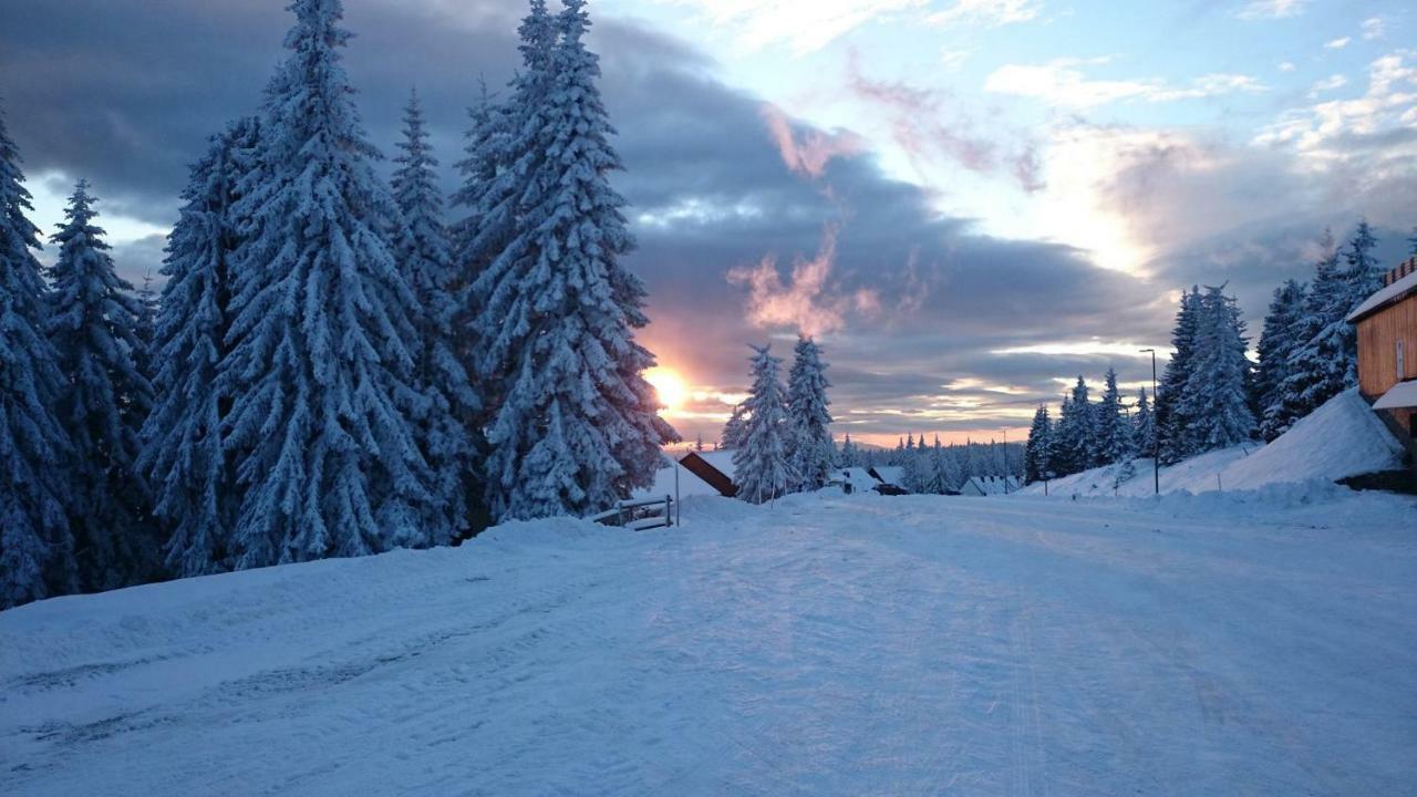 Rogla - Chalet Mojca Pokrajculja Zrece Bagian luar foto