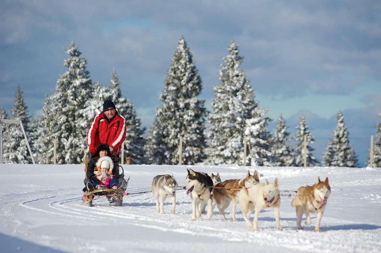 Rogla - Chalet Mojca Pokrajculja Zrece Bagian luar foto