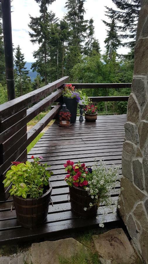 Rogla - Chalet Mojca Pokrajculja Zrece Bagian luar foto